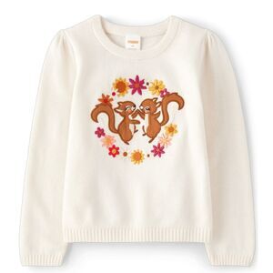Girls Gymboree Happy Harvest Fall Embroidered Squirrel Sweater Size 12 NEW